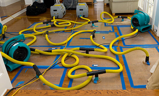 Professional Basement Flood Cleanup technician working in Marlette, MI